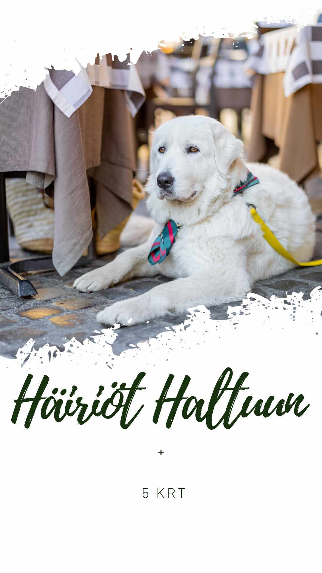 Häiriöt Haltuun