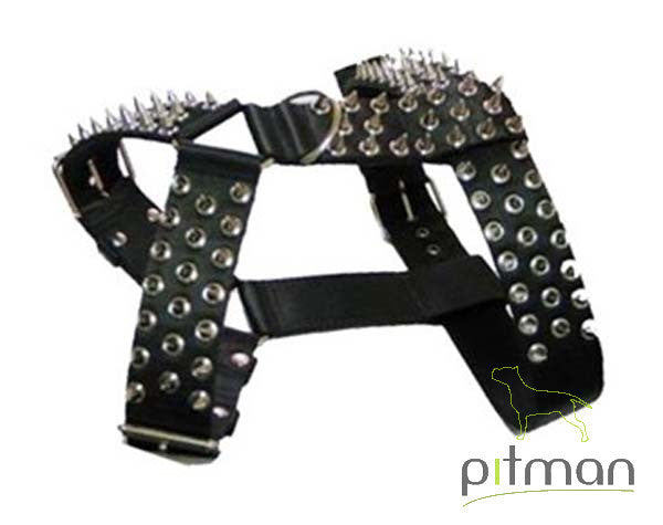 Pitman Iron Dog musta koko L