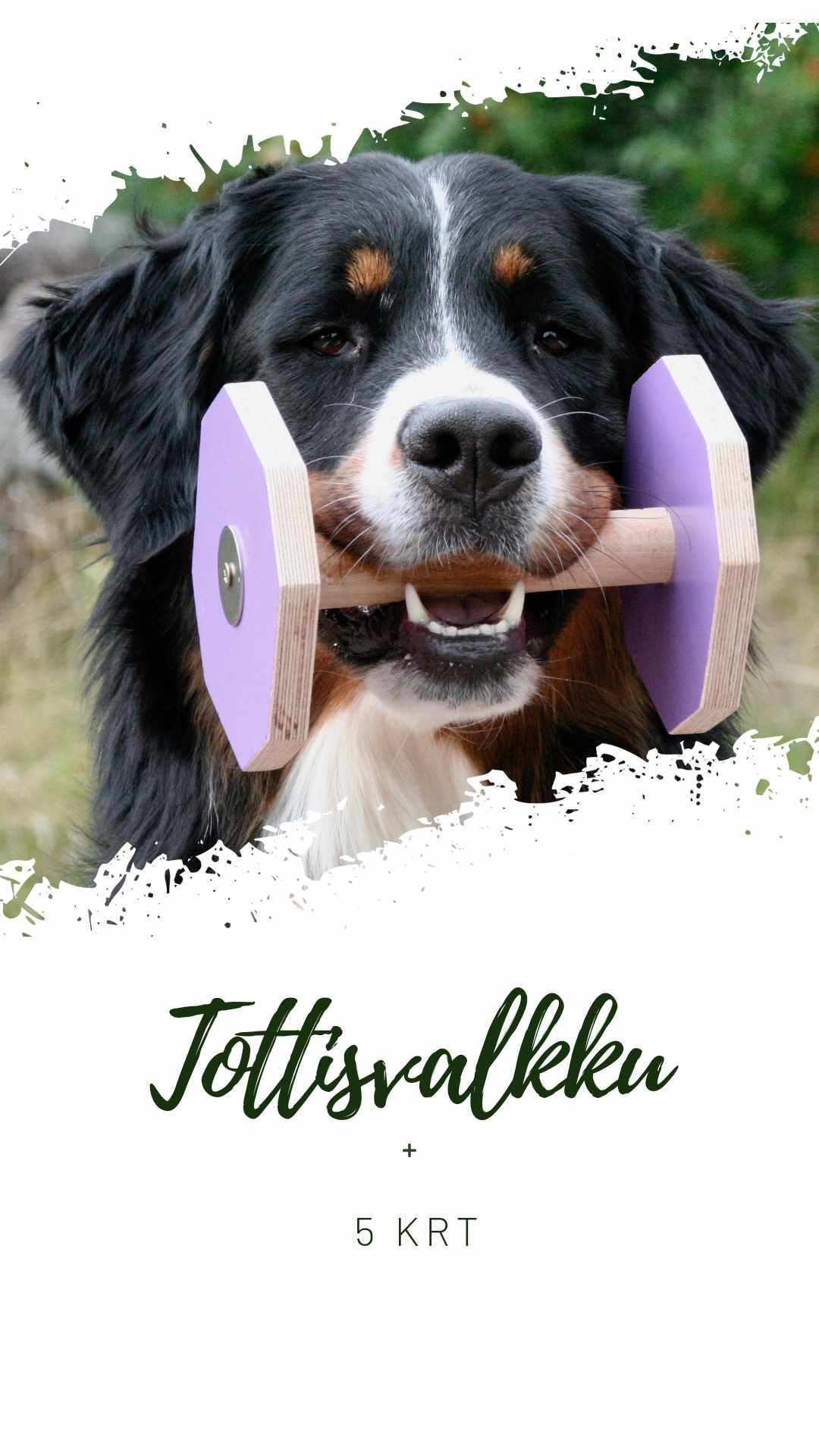 Tavoitteellista tottista pienryhm„ss„ joka toinen viikko