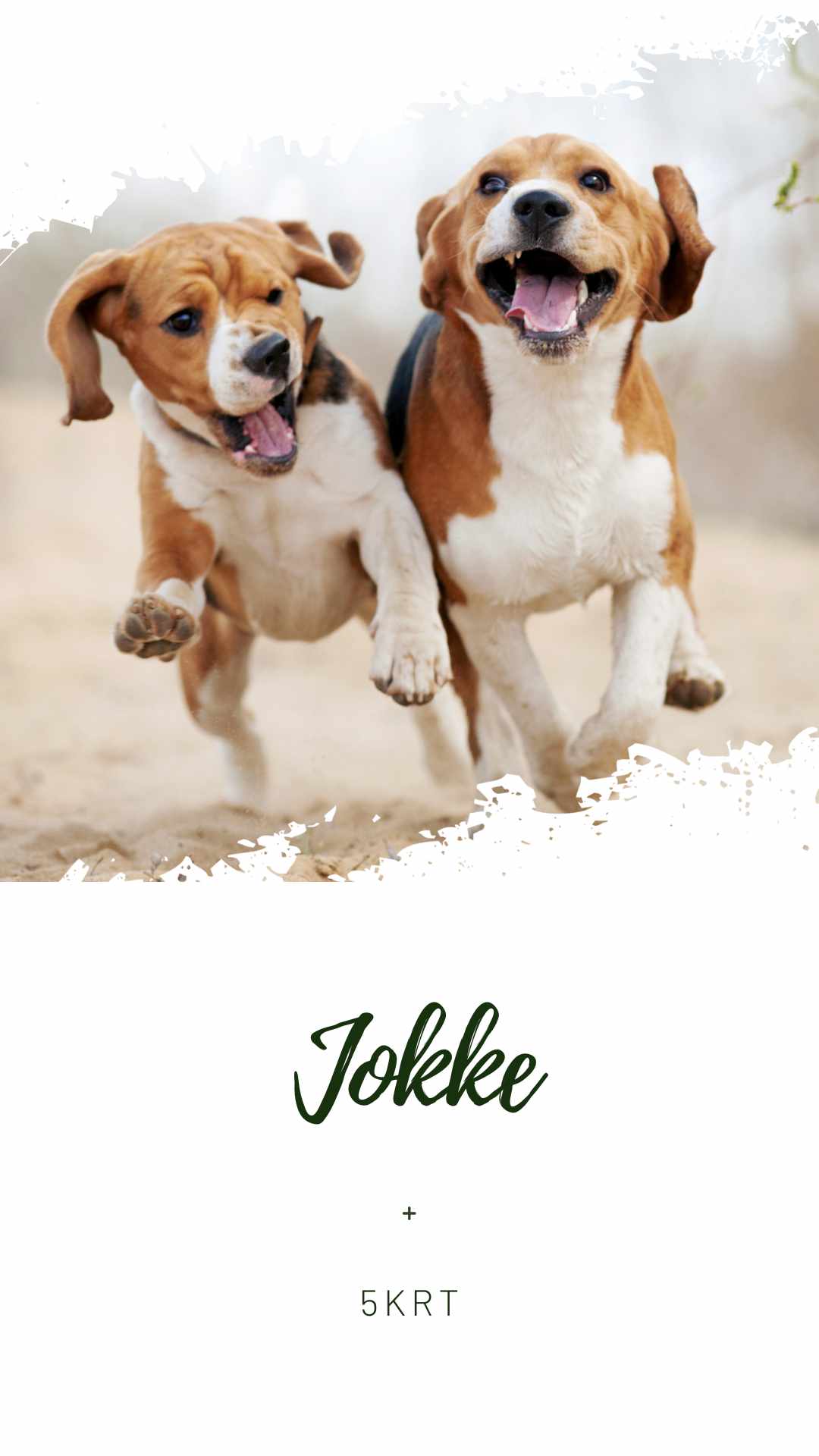 Jokke -kurssi