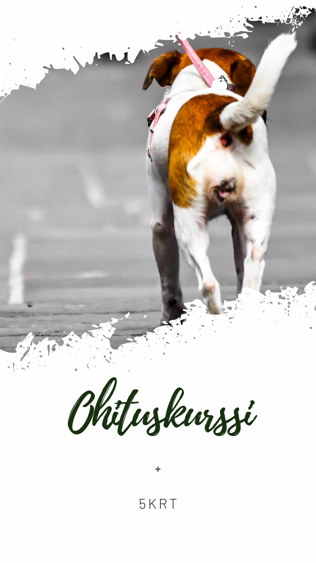 Ohituskurssi