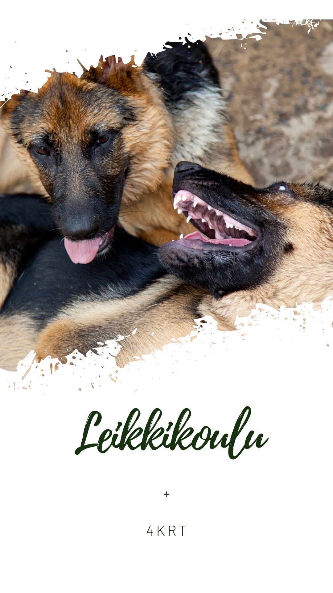 Leikkikoulu
