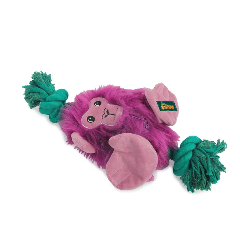 AFP Safari Big Foot Monkey