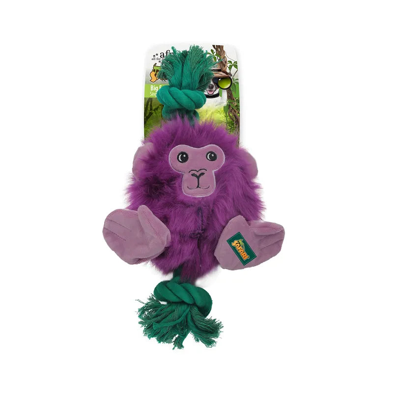 AFP Safari Big Foot Monkey