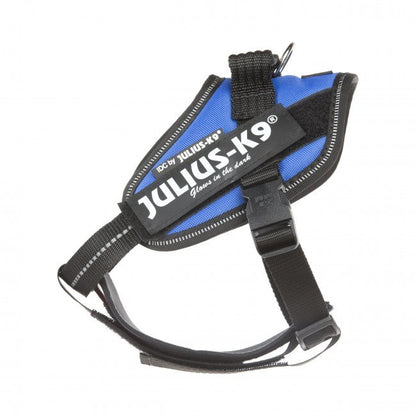 Ergonominen pehmustettu rintaremmi Julius-k9 valjaisiin