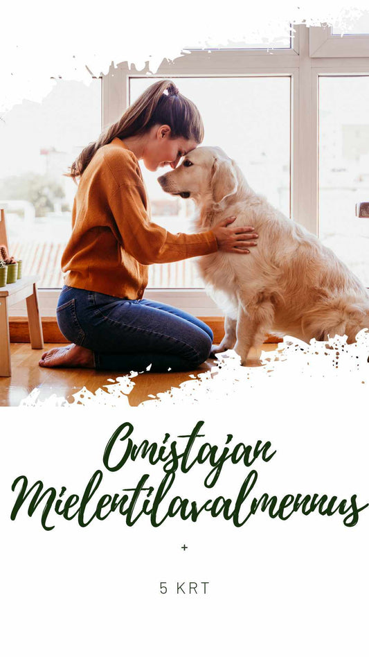 Kurssi auttaa parantamaan omistajan/ohjaajan mielentilaa