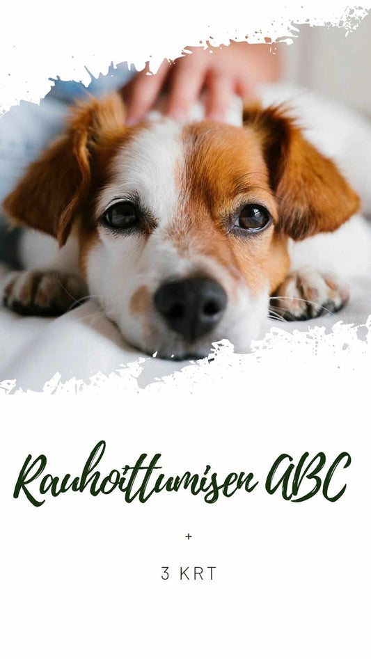 Rauhoittumisen ABC