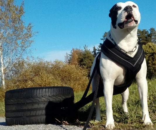 Taakanvetovaljaat mittatilauksena