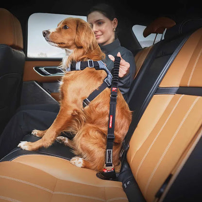 Ezydog Turvavyökiinnike Zero Shock