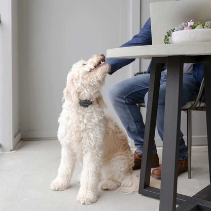 Petsafe haukunestopanta äänellä