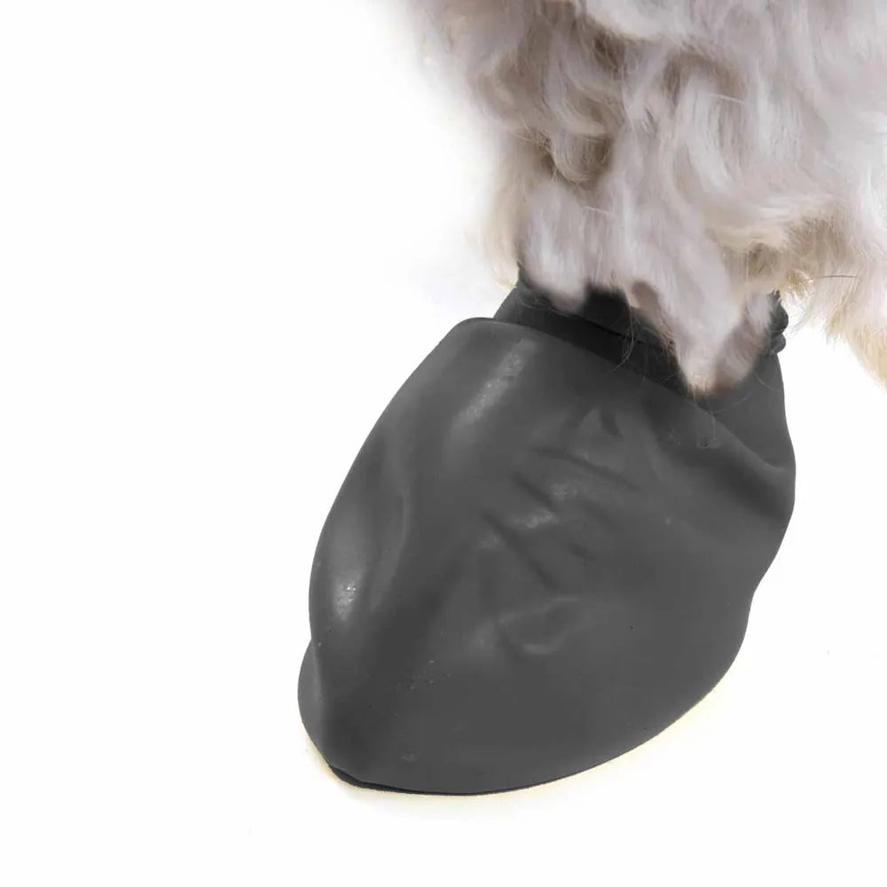Pawz Dog Boots