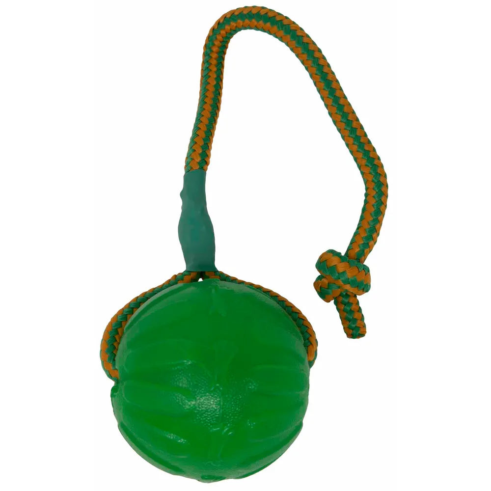 Starmark Swing n' Fling Chewball