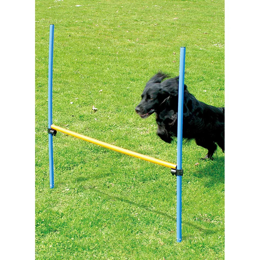Pawise agility hyppyeste