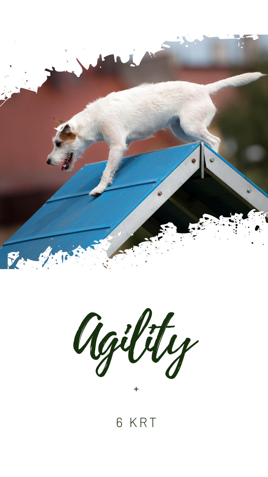 Agility kaiken tasoisille