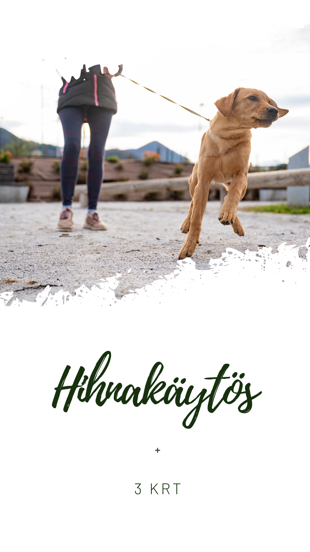 Hihnakäytöskurssi