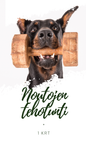 Noutojen Tehotunti 11.5.