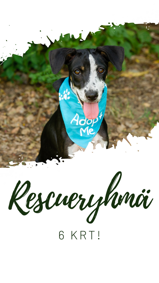 Rescueryhmä