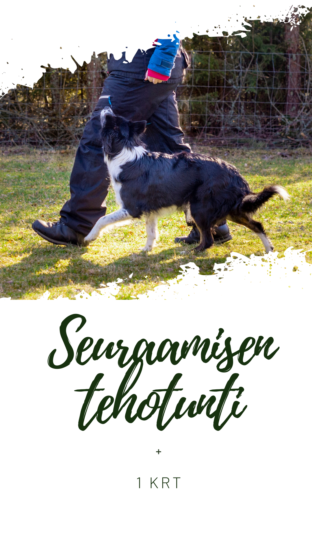 Seuraamisen Tehotunti