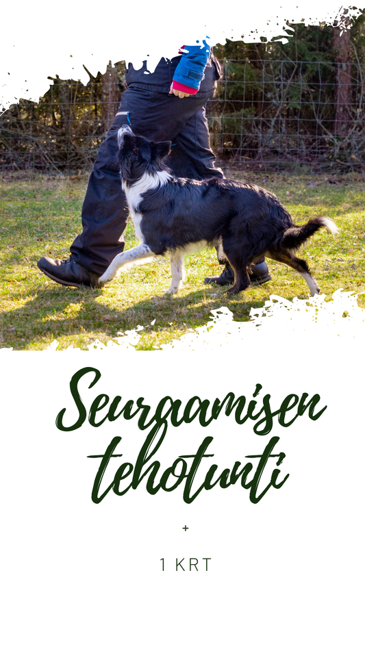 Seuraamisen Tehotunti 27.4.