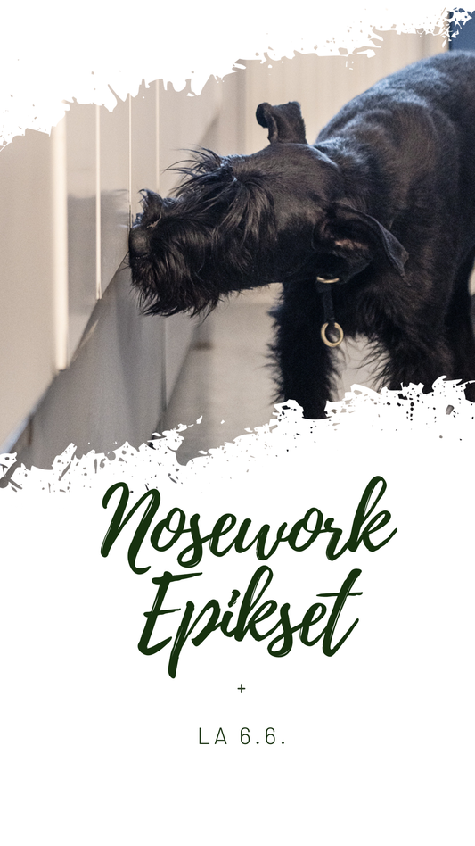 Nosework epikset