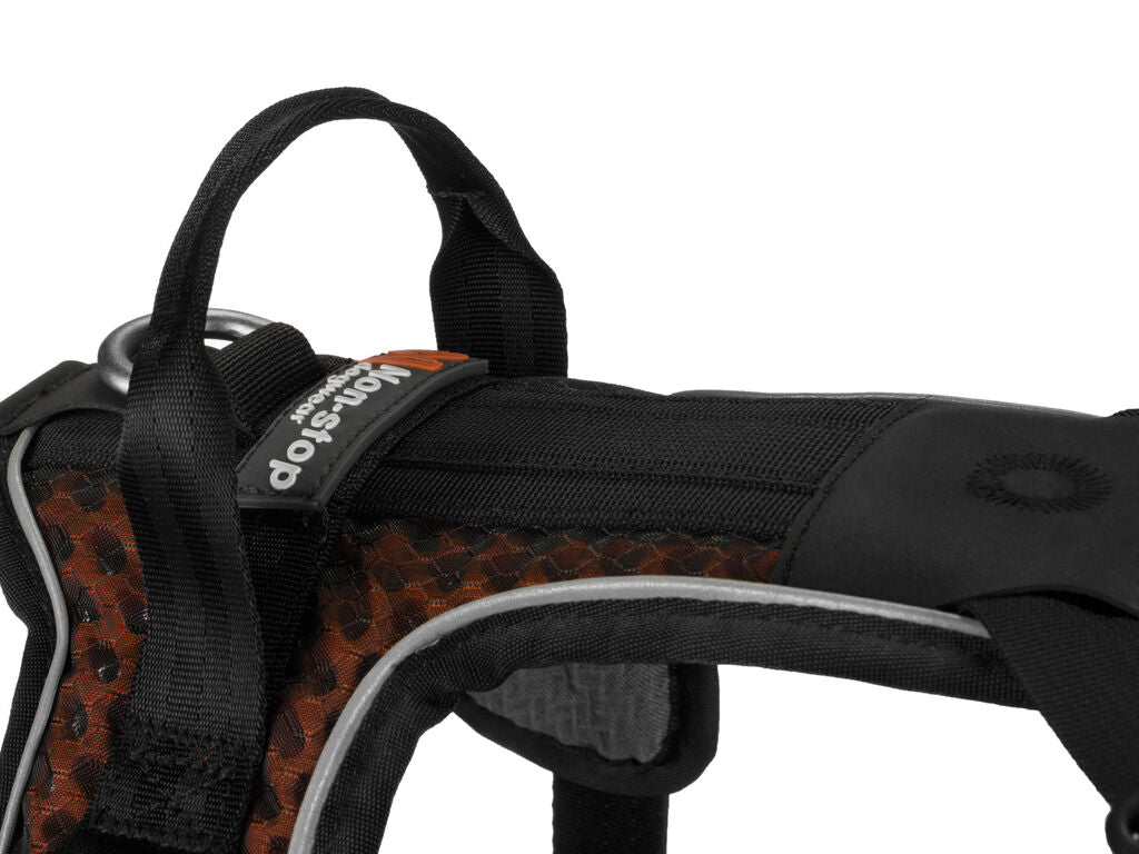 Non-Stop Rock harness