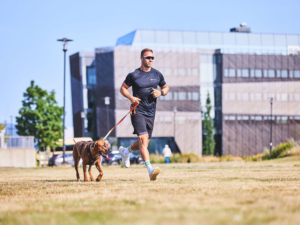 Non-Stop Rock harness