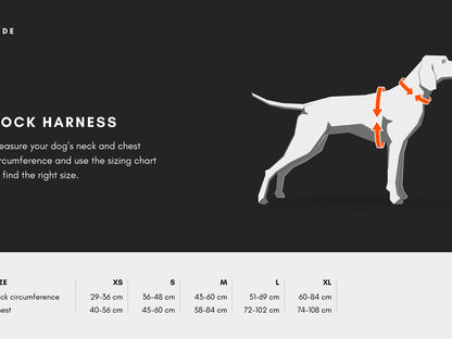 Non-Stop Rock harness