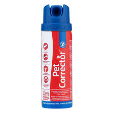 Pet Corrector
