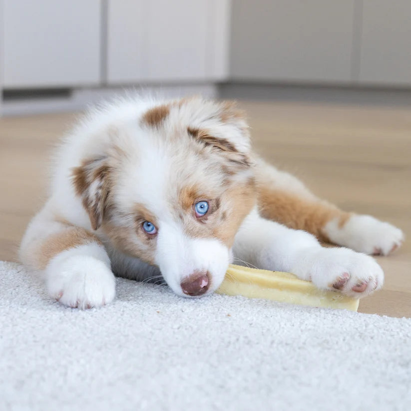 Pala Juusto-puruherkku koirille