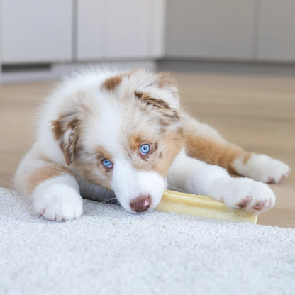 Pala Juusto-puruherkku koirille